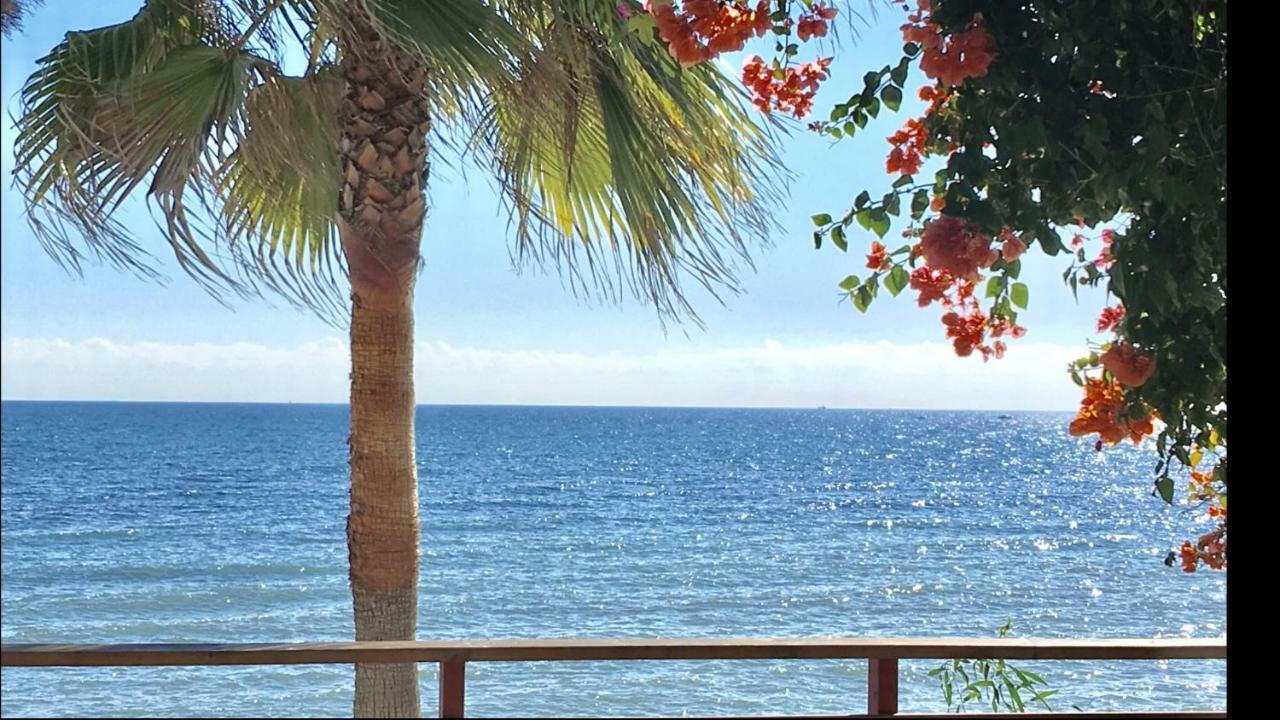 Mi Capricho C16 Beachfront Apartment Sitio de Calahonda Dış mekan fotoğraf